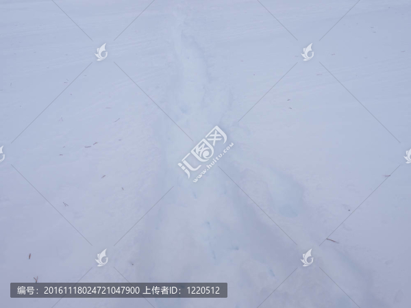 雪地里的痕跡