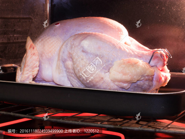 烤箱里的鳥