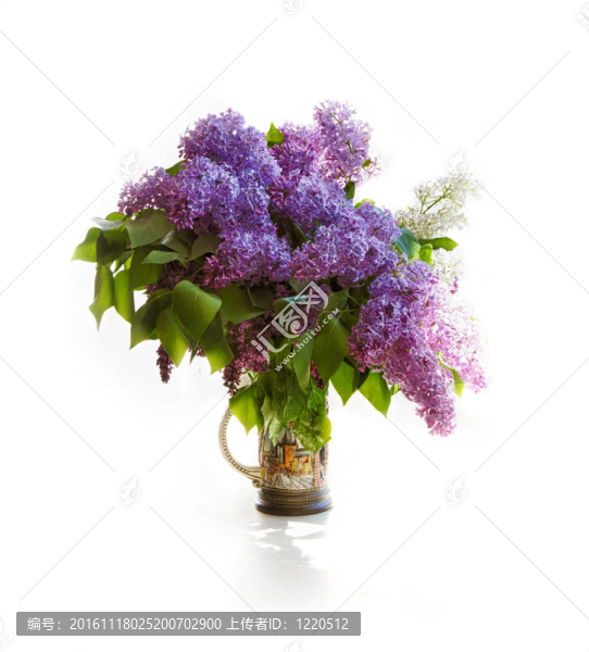 一束丁香花在明亮的燈光下。