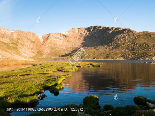 山