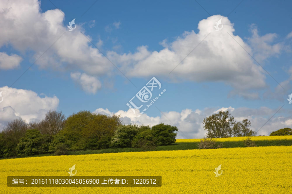強奸和天空