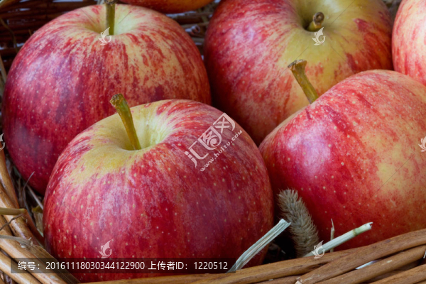 籃子APPES