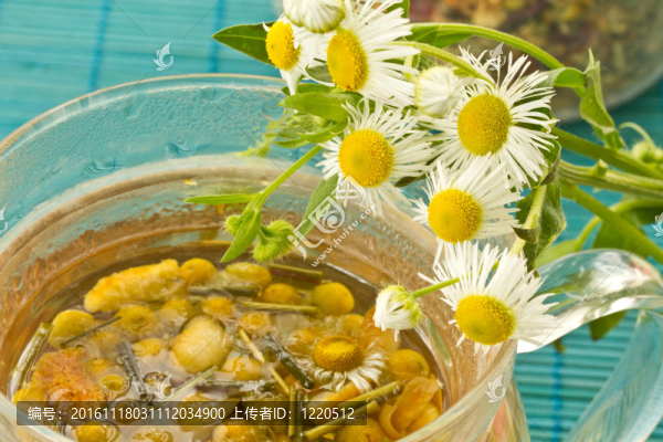 甘菊茶