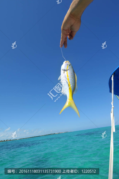 圣佩德羅釣魚