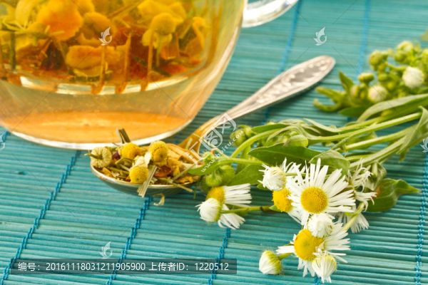 甘菊茶