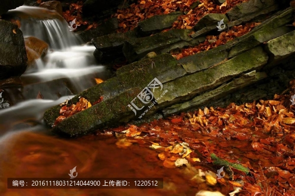 秋水