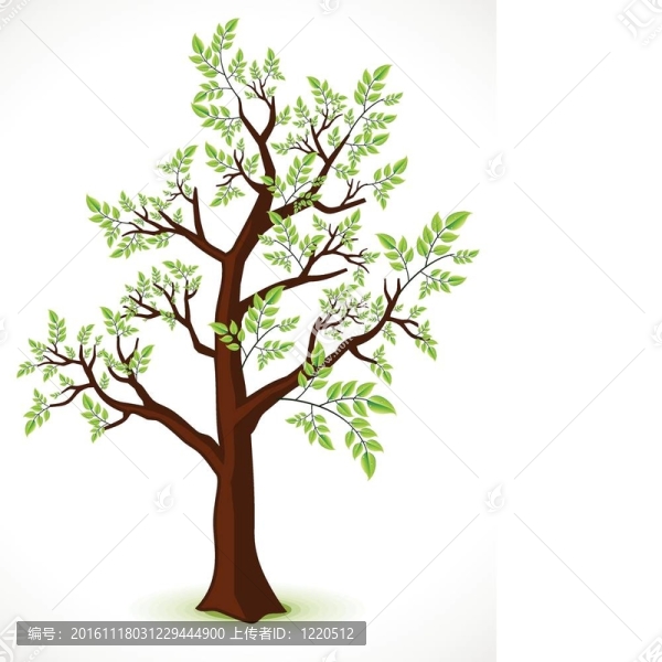 抽象詳細(xì)生態(tài)樹(shù)