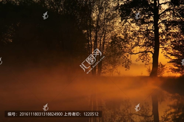 到附近的池塘