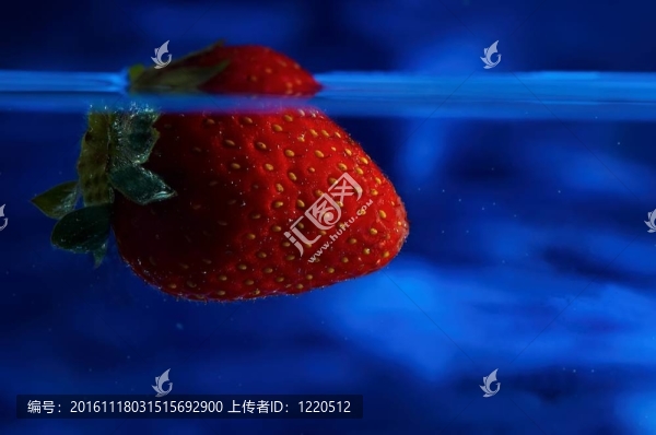 Strawberry在藍(lán)