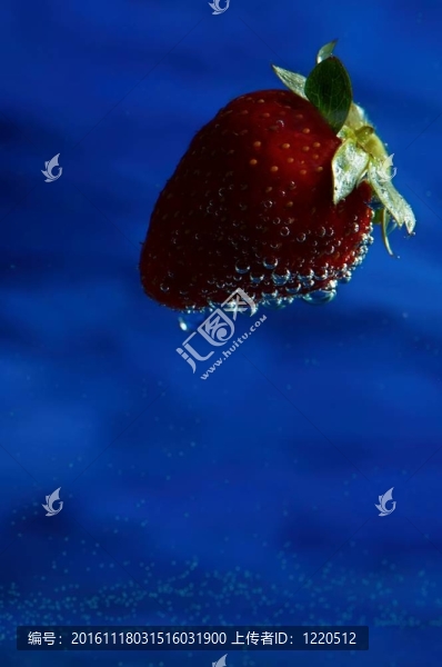 Strawberry在藍