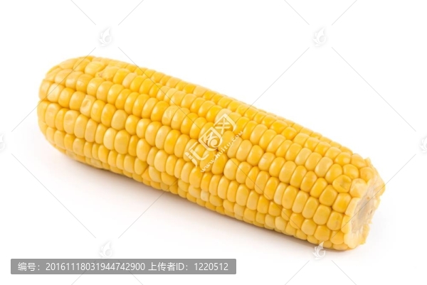 玉米