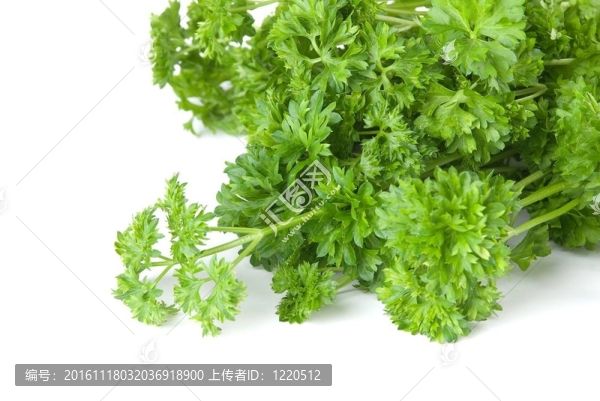 西芹