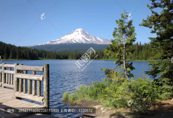 延齡草湖和山罩；俄勒岡。