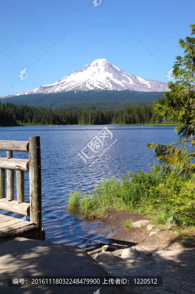 延齡草湖和山罩；俄勒岡。