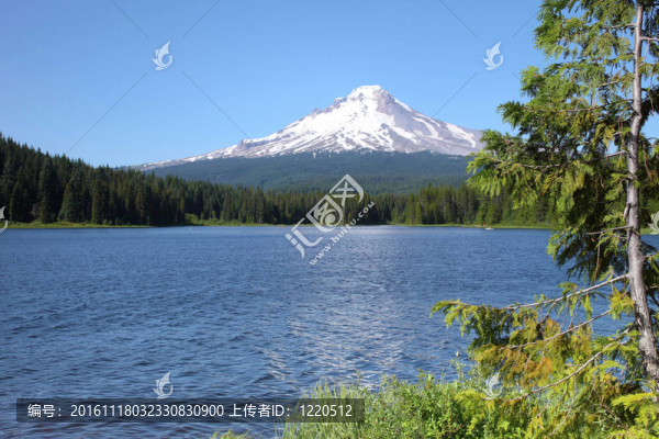 延齡草湖和山罩；俄勒岡。