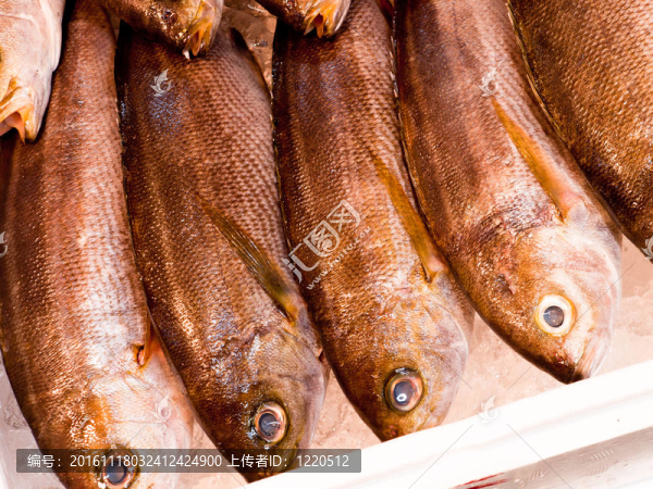 煙熏魚(yú)