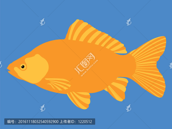 金色的魚