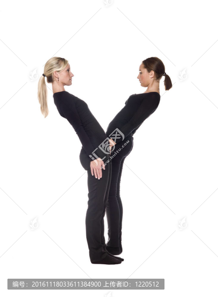字母Y