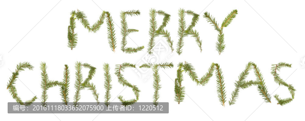 云杉樹枝形成短語圣誕快樂