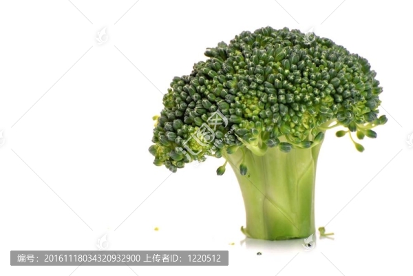 孤立的西蘭花