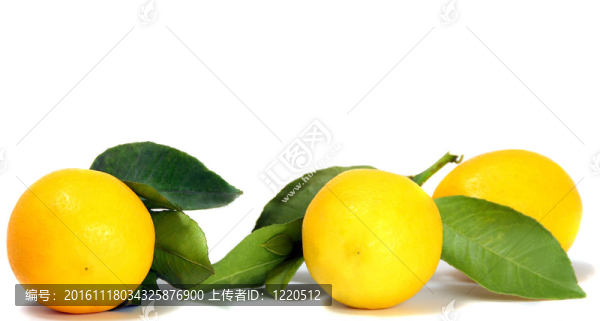 白色背景上的新鮮檸檬。