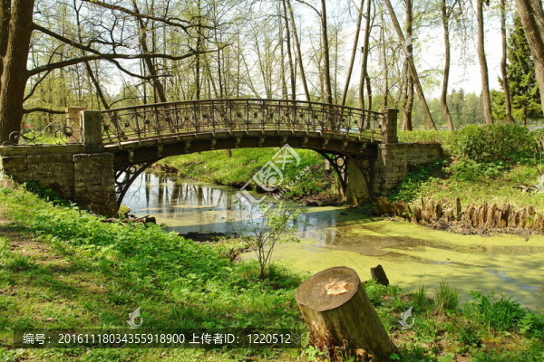公園里的舊橋