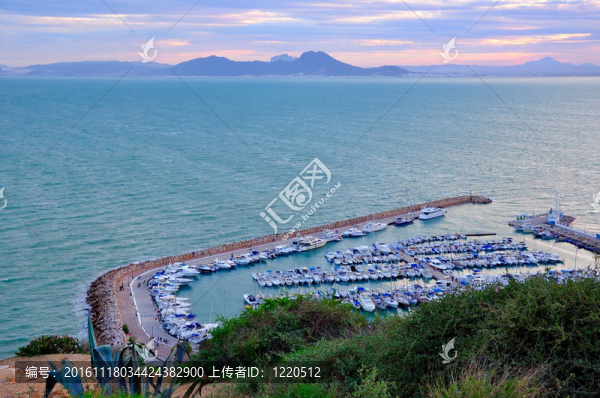 Sidi,Bou,Said灣附近的游艇