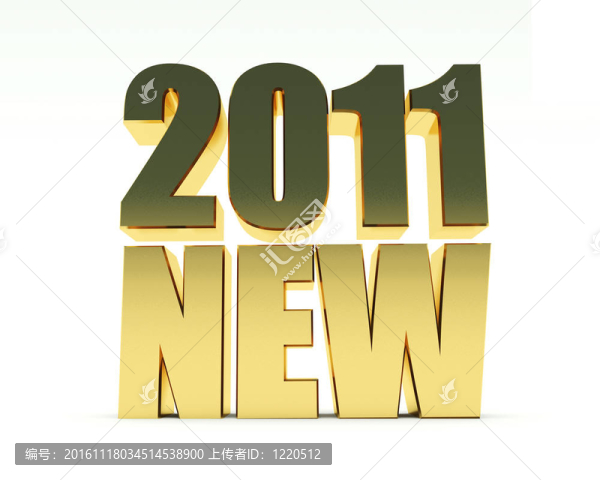 新的一年2011