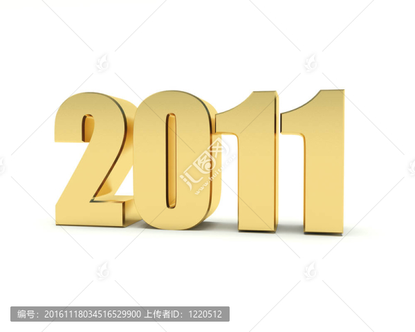 新的一年2011
