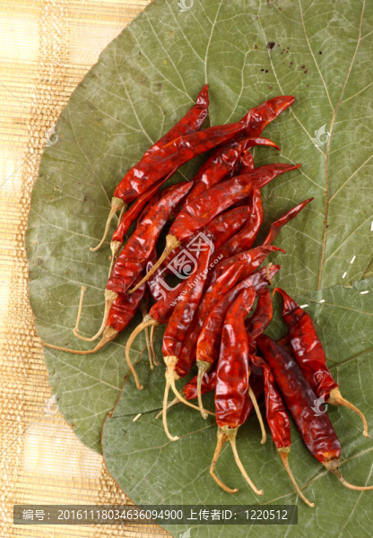 干葉干的紅辣椒