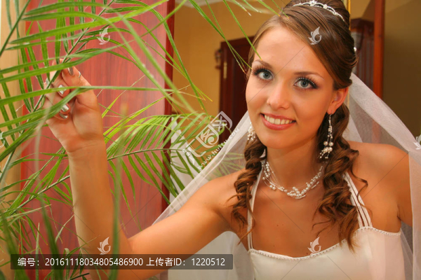 新娘婚紗禮服