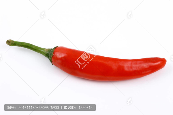 單一的紅辣椒