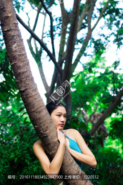 亞洲女孩擁抱樹(shù)