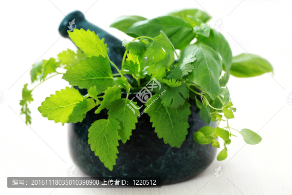 中藥研缽和杵