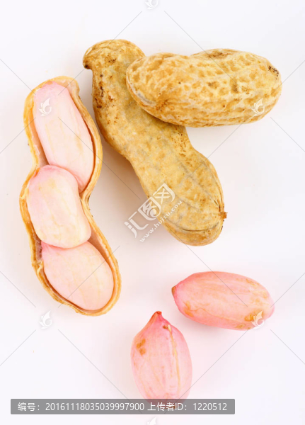 白色背景上的花生
