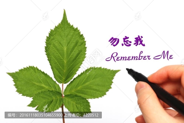 給你的朋友寫一份備忘錄