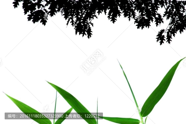幸運(yùn)竹葉架