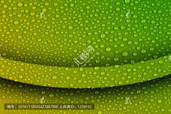 水滴