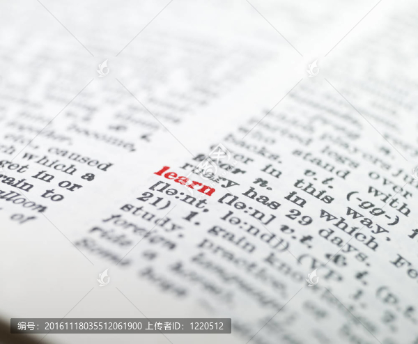 單詞在字典中突出顯示