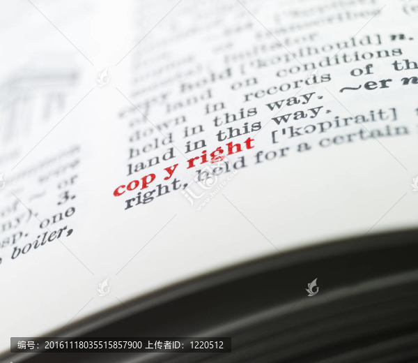 字典中突出的單詞