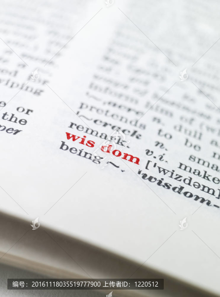 字典里突出的智慧這個(gè)詞-匯圖網(wǎng) www.fosd68.com 字典里突出的智慧這個(gè)詞