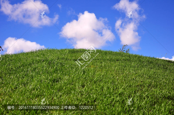 葡萄牙