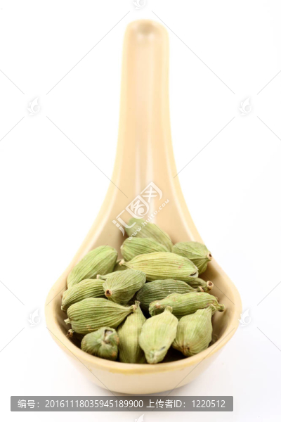 勺豆蔻
