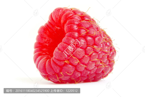 覆盆子