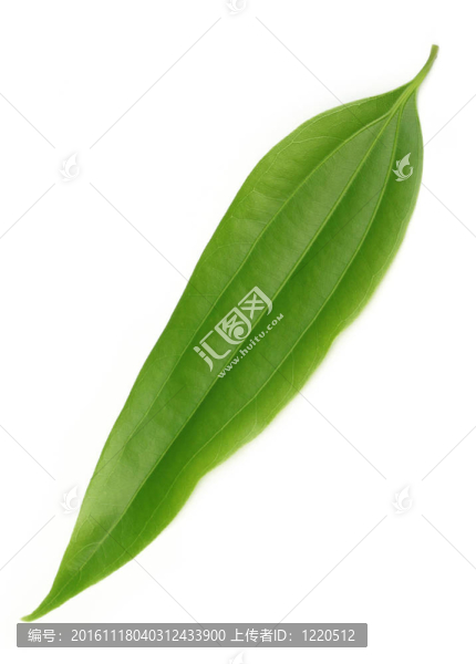 Cassia離開(kāi)