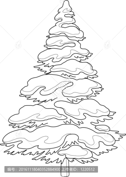 有雪的毛皮樹；輪廓