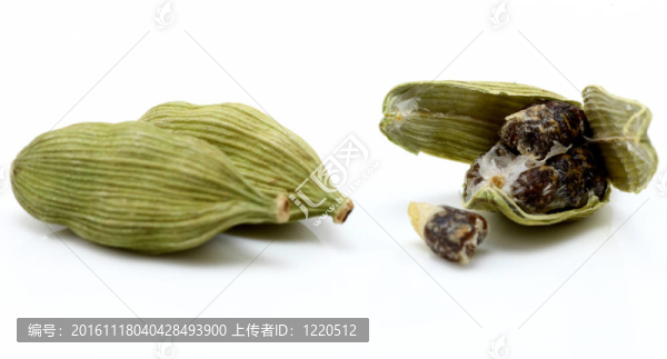 與小豆蔻種子豆蔻