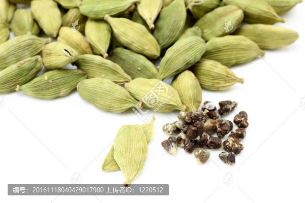 與小豆蔻種子豆蔻