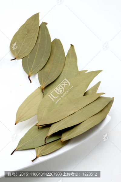 月桂樹葉