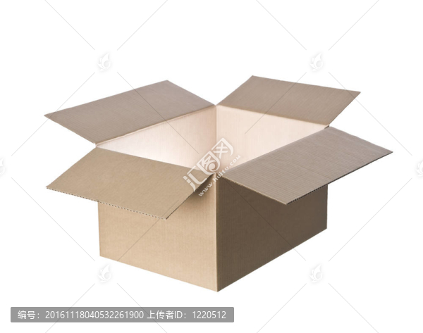 在它的開著光的紙箱